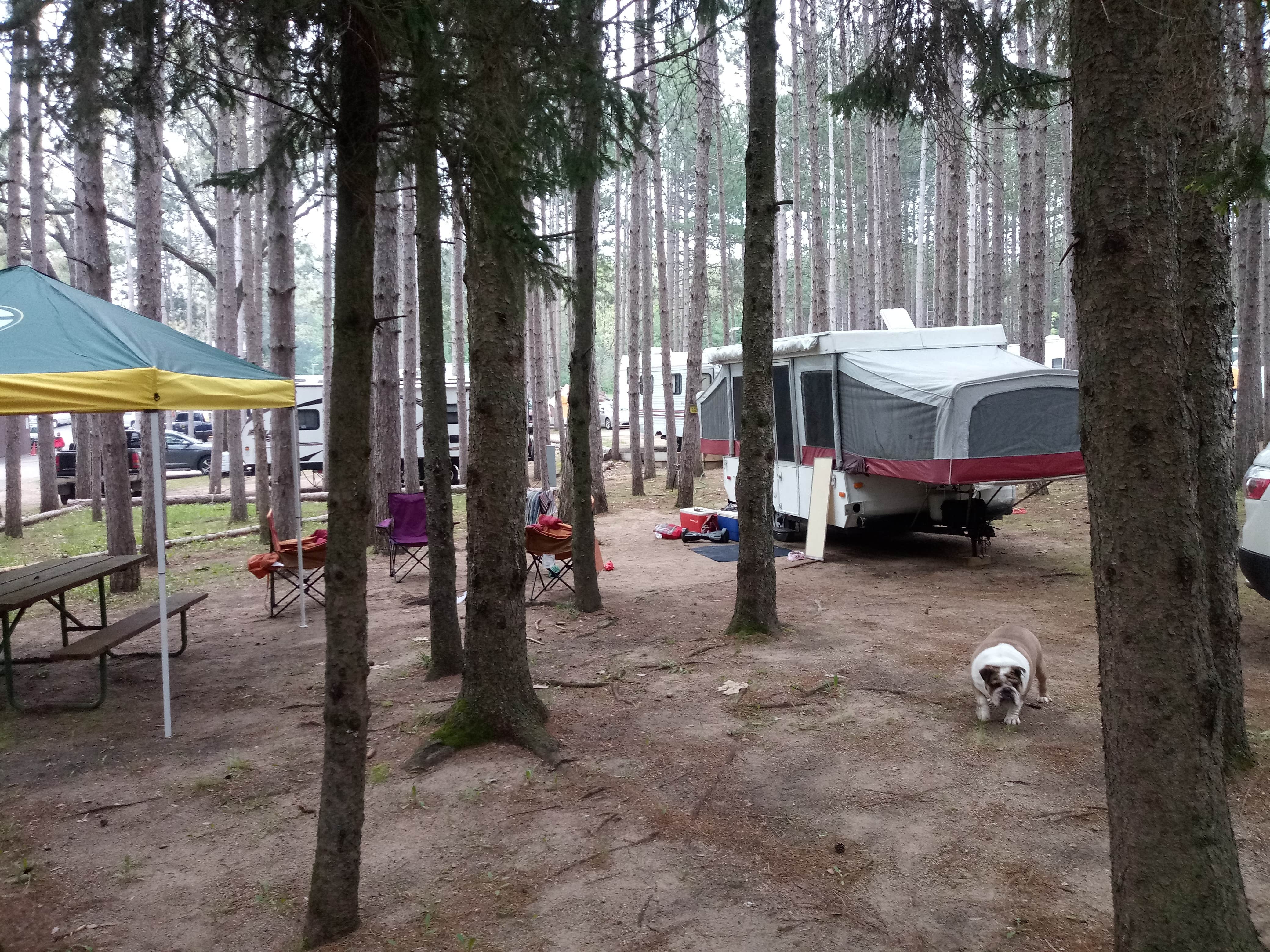 Matthew J.'s photo of rv camping at Pearl Lake RV Campground near Iola, WI