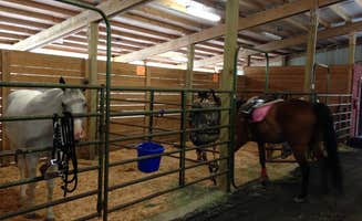 Ginger S.'s photo of camping with a horse at Panhandle Lake Camp near Bainbridge Island, WA