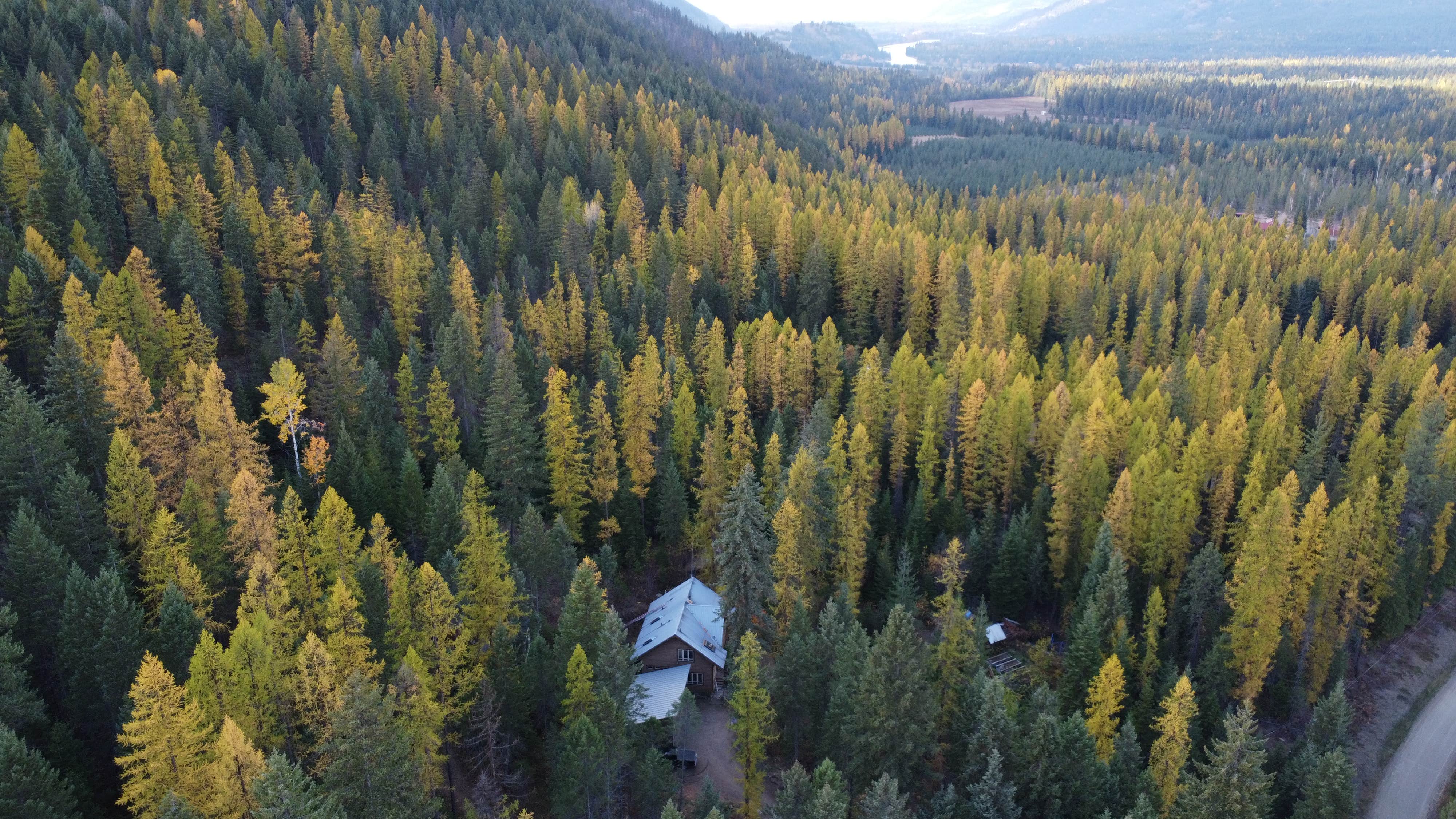 Camper submitted image from Mountain Camping Bungalow - 1