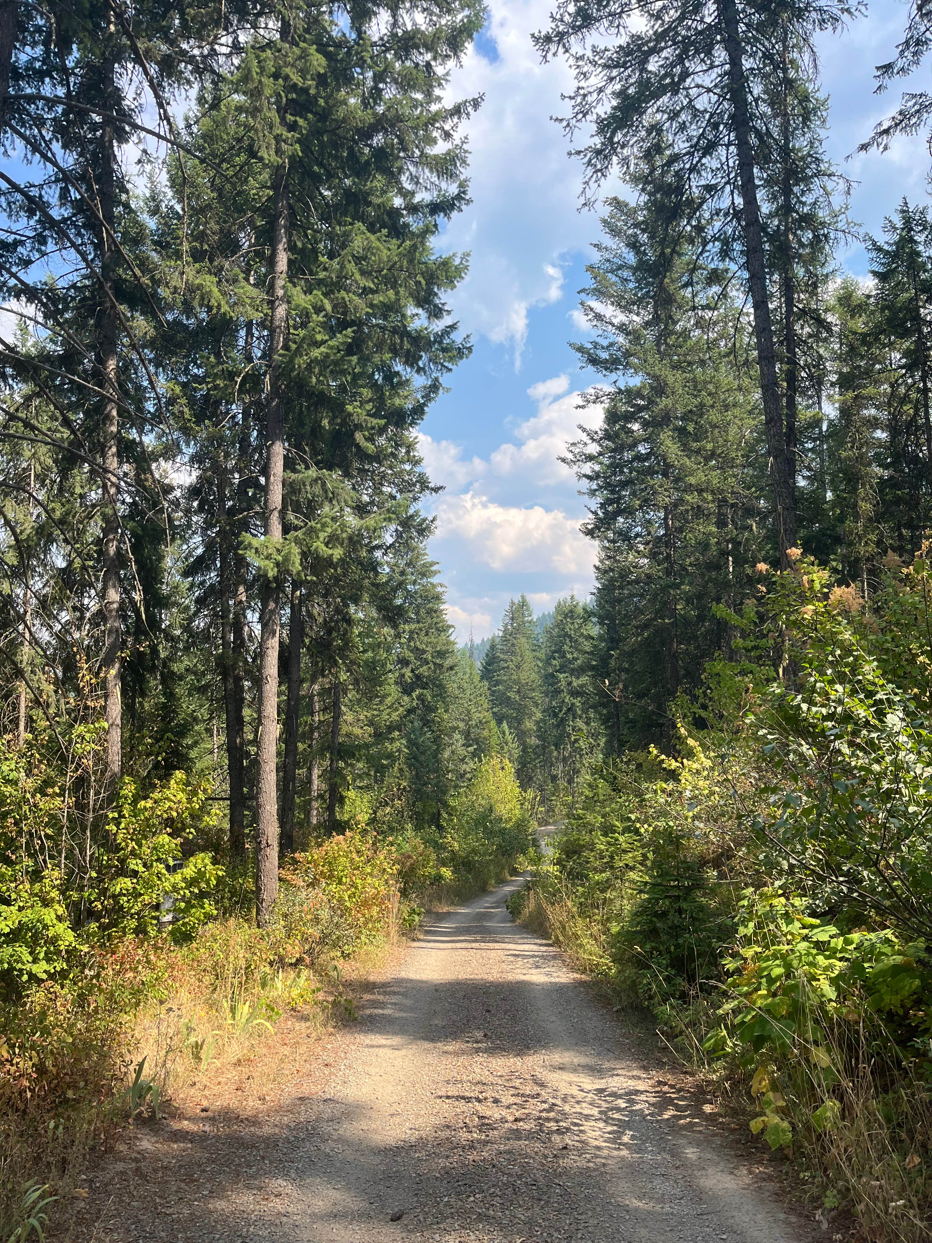 Camper-submitted photo at Mountain Camping Bungalow near Heron, MT