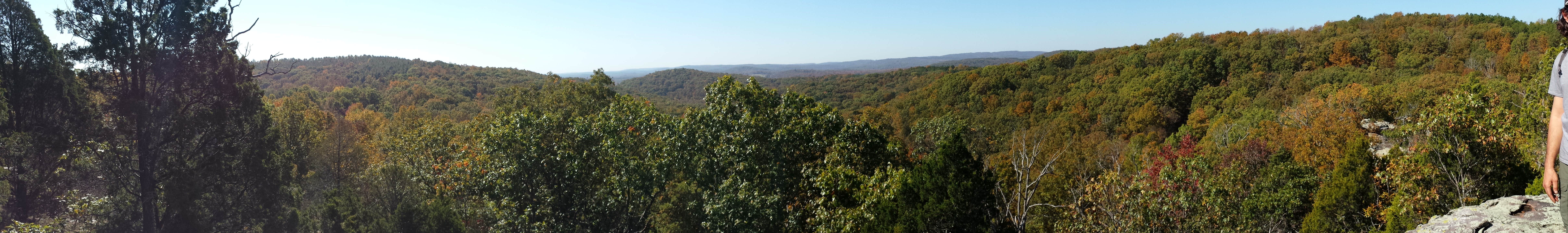 Camper submitted image from Turkey Ridge Campground — Ferne Clyffe State Park - 4