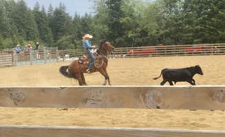 Ginger S.'s photo of camping with a horse at Panhandle Lake Camp near Chehalis, WA