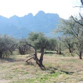 Review photo of Catalina State Park Campground by Michael K., June 8, 2016