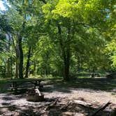 Review photo of Fort Washington State Park Campground by Stuart K., October 1, 2025