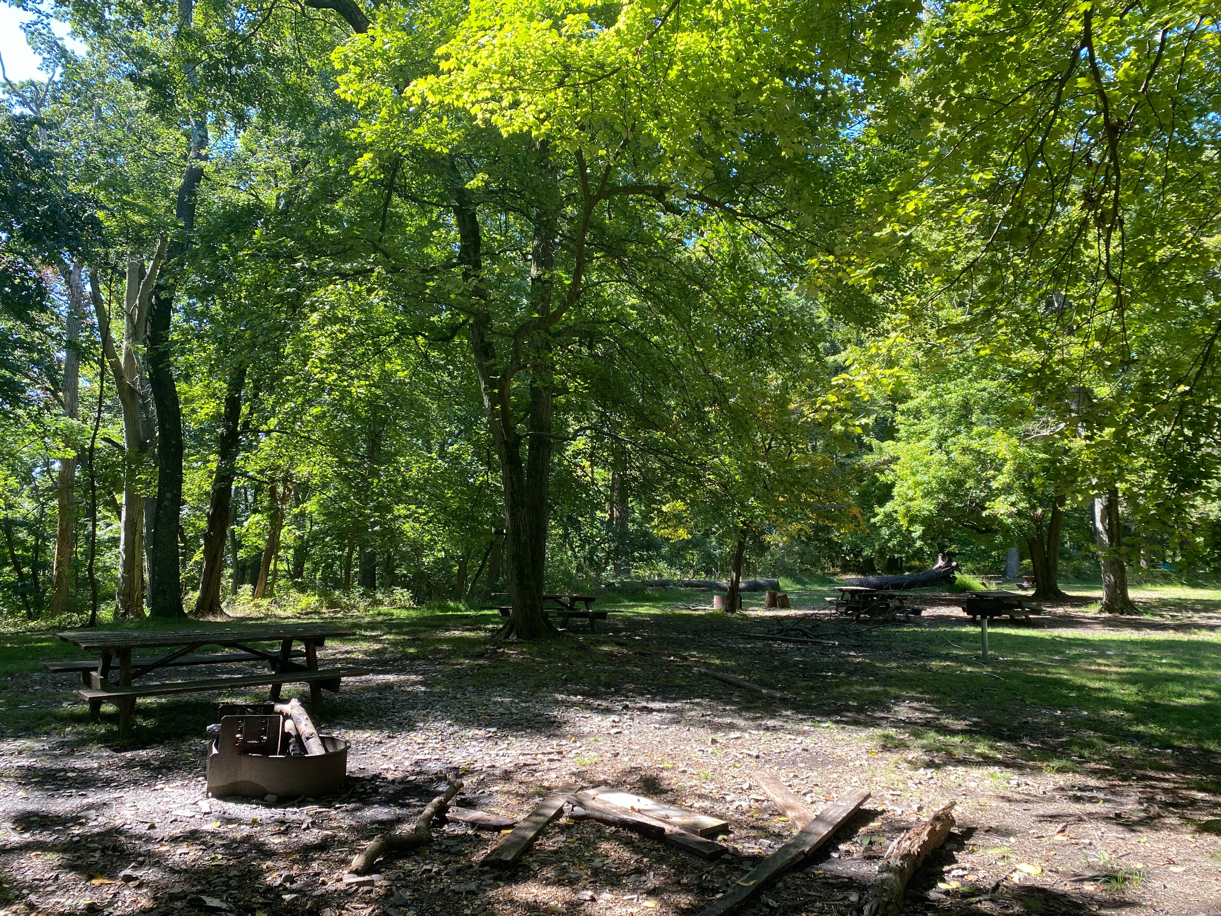 Camper submitted image from Fort Washington State Park Campground - 1