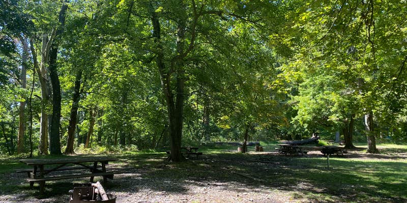 Camper submitted image from Fort Washington State Park Campground