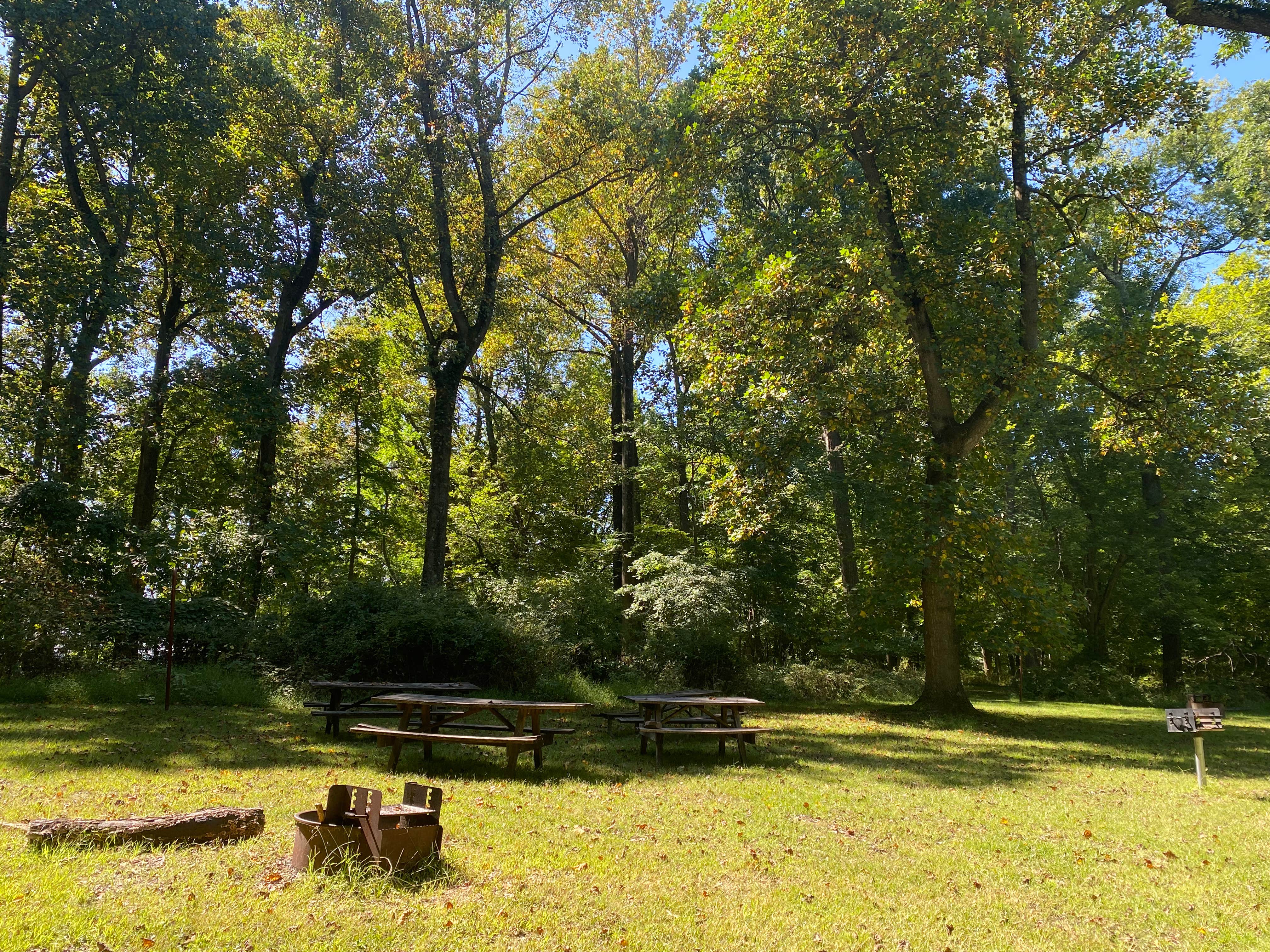 Camper-submitted photo at Fort Washington State Park Campground near Fort Washington, PA
