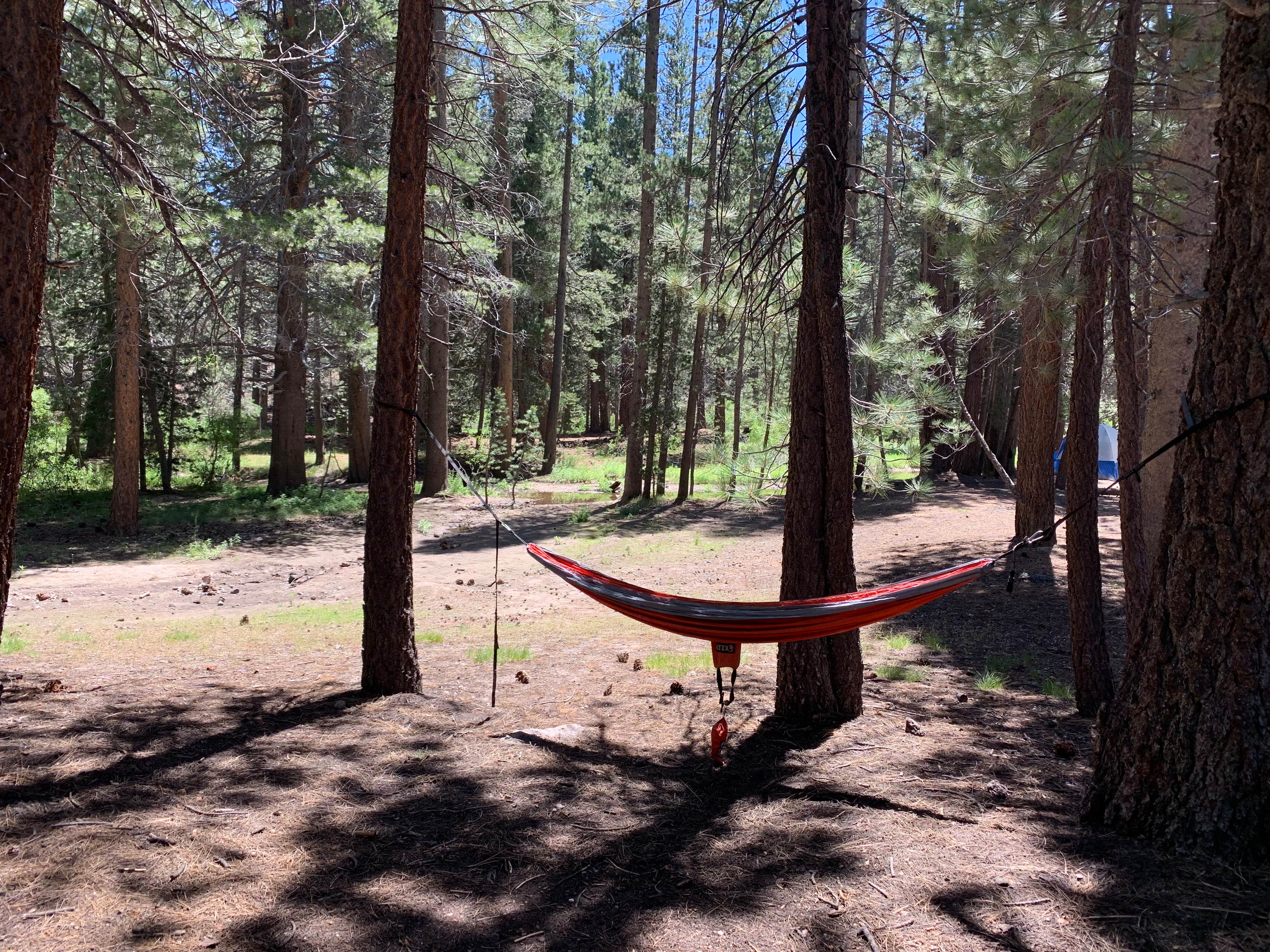 Camper submitted image from Upper Deadman Campground - 3