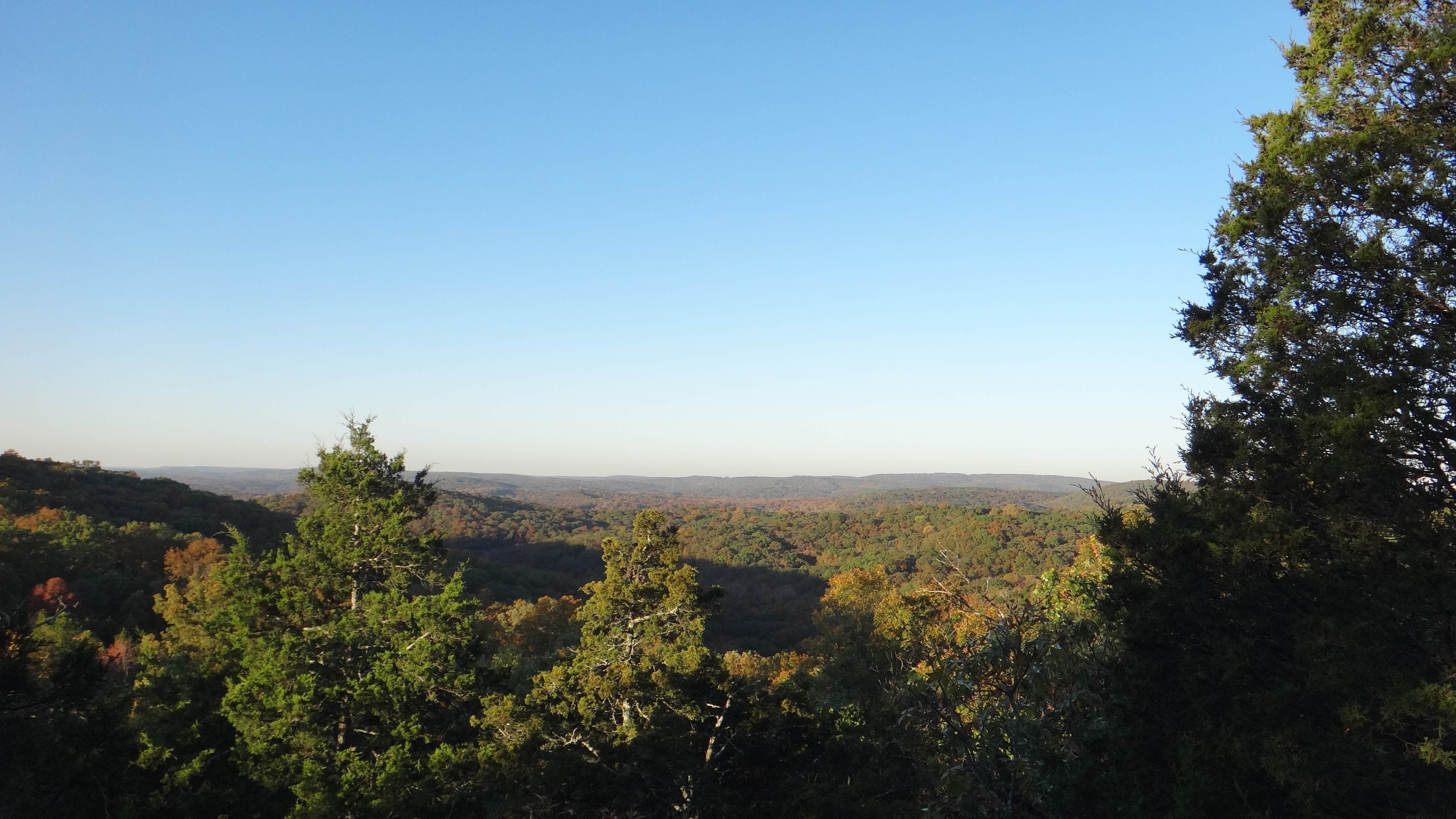 Camper submitted image from Turkey Ridge Campground — Ferne Clyffe State Park - 2