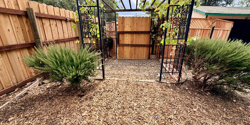 Camper submitted image from Cozy RV Farm Stay • WiFi + Coffee • Fresh Eggs