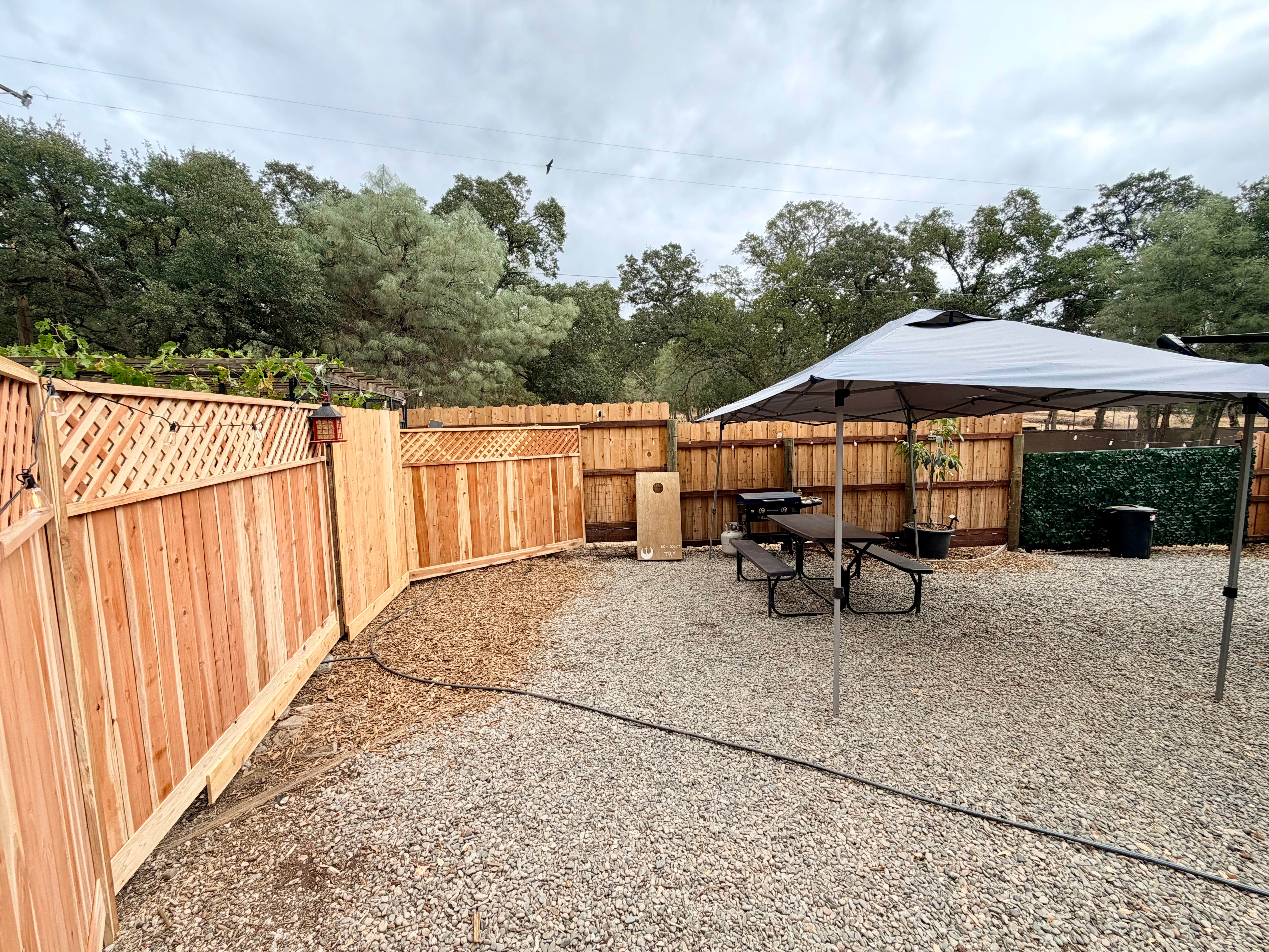 Camper-submitted photo at Cozy RV Farm Stay • WiFi + Coffee • Fresh Eggs near Geyserville, CA