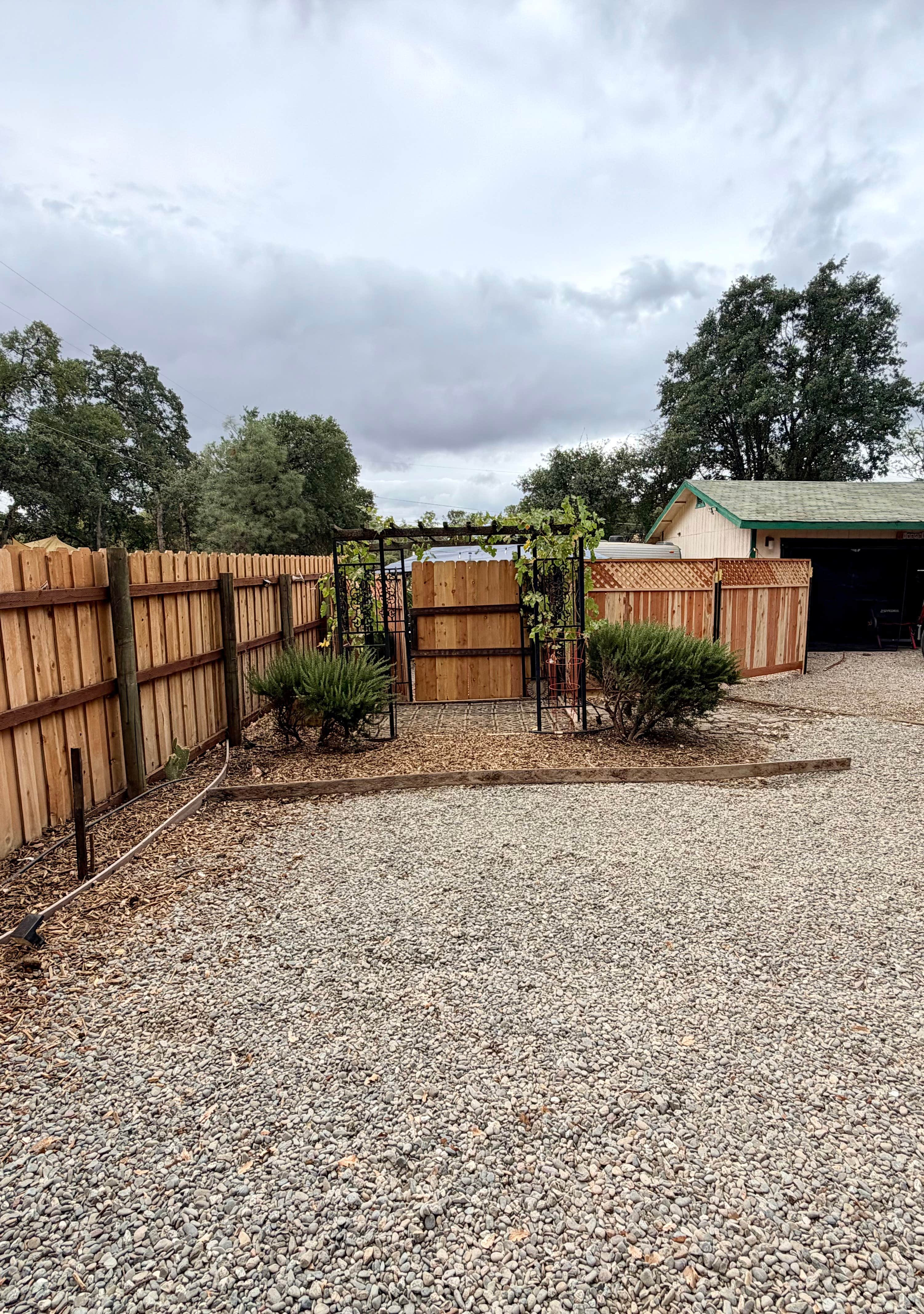 Camper-submitted photo at Cozy RV Farm Stay • WiFi + Coffee • Fresh Eggs near Geyserville, CA