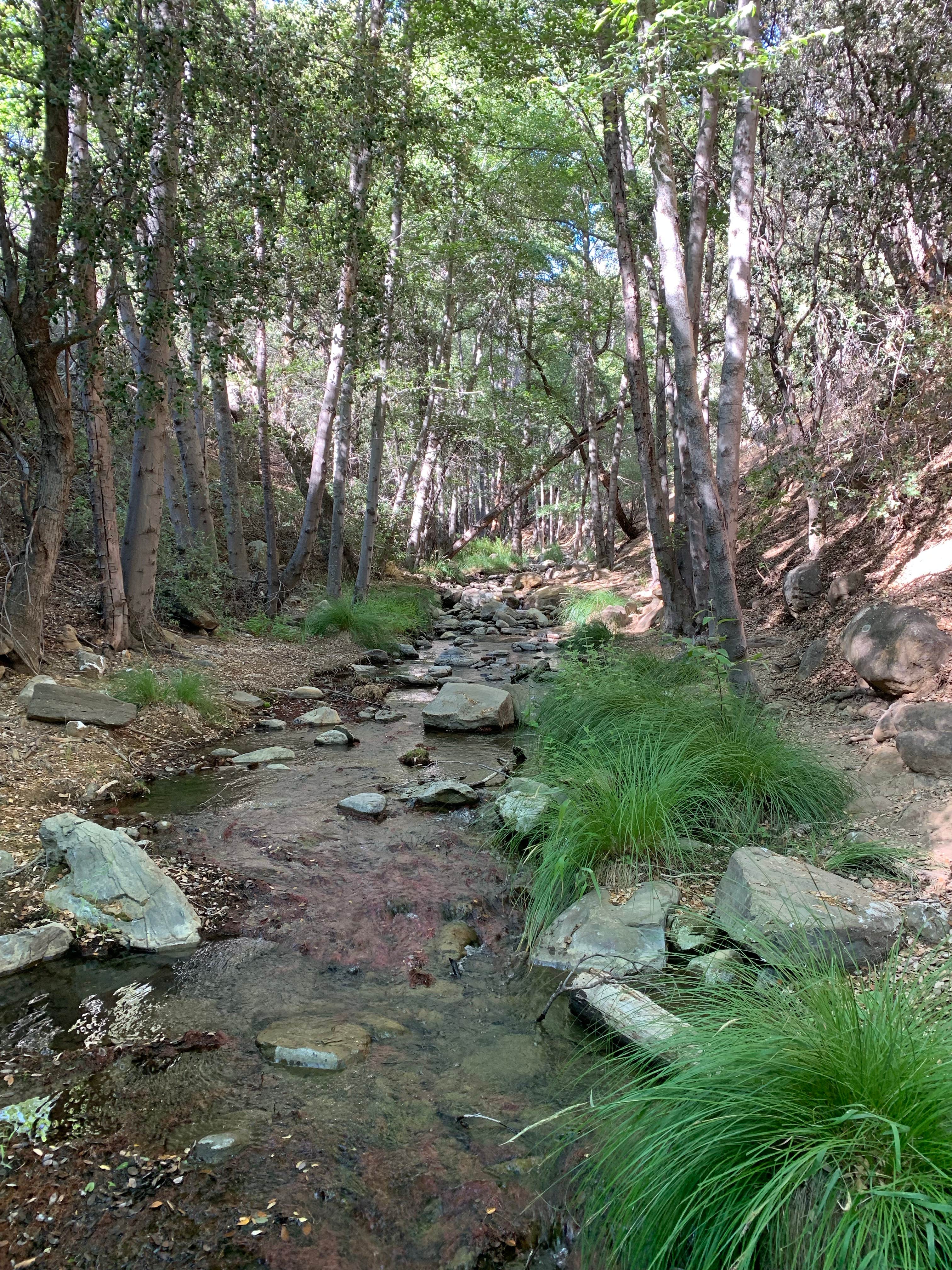 Camper-submitted photo at Reyes Creek Campground near Agoura Hills, CA