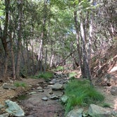 Review photo of Reyes Creek Campground by Antonio  C., August 2, 2019