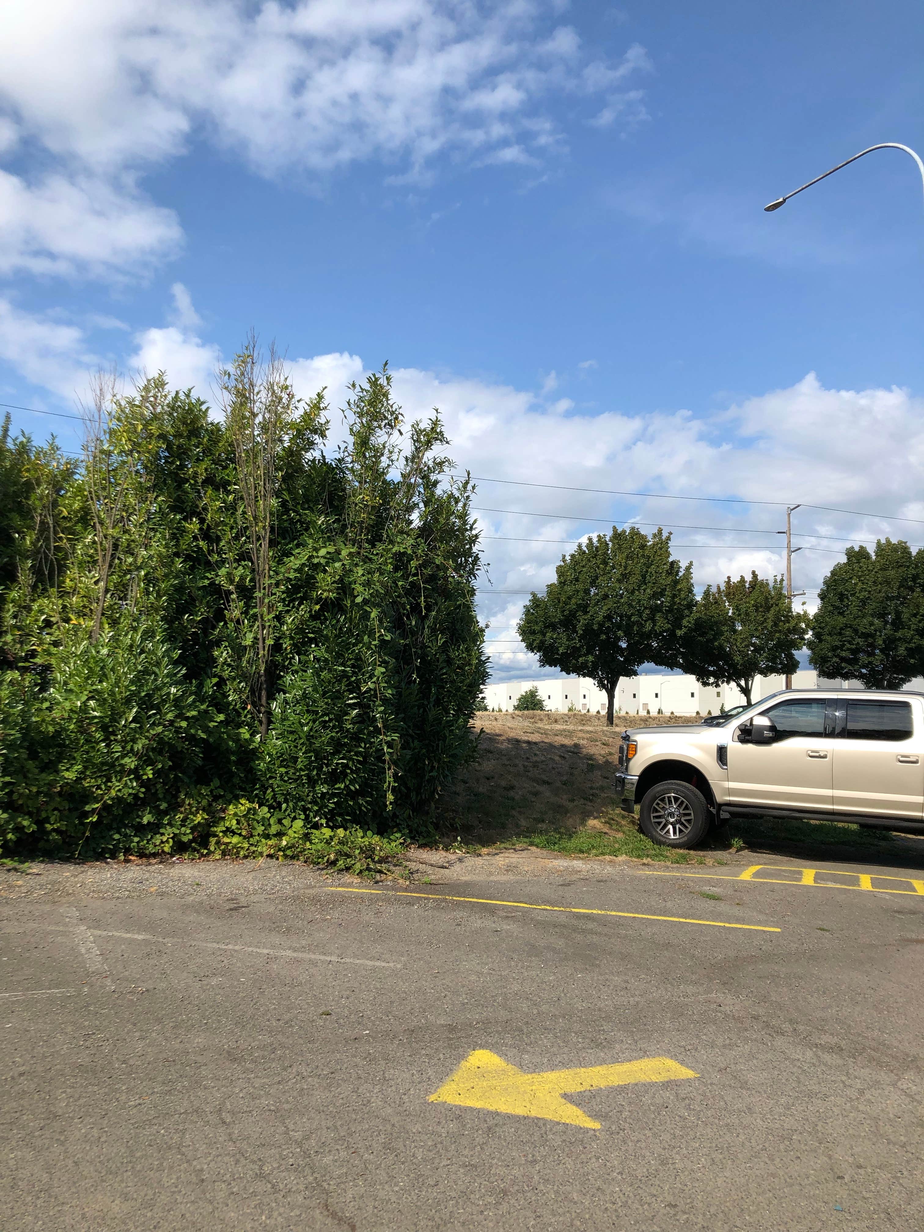 Camper submitted image from Seattle/Tacoma KOA - PERMANENTLY CLOSED - 3