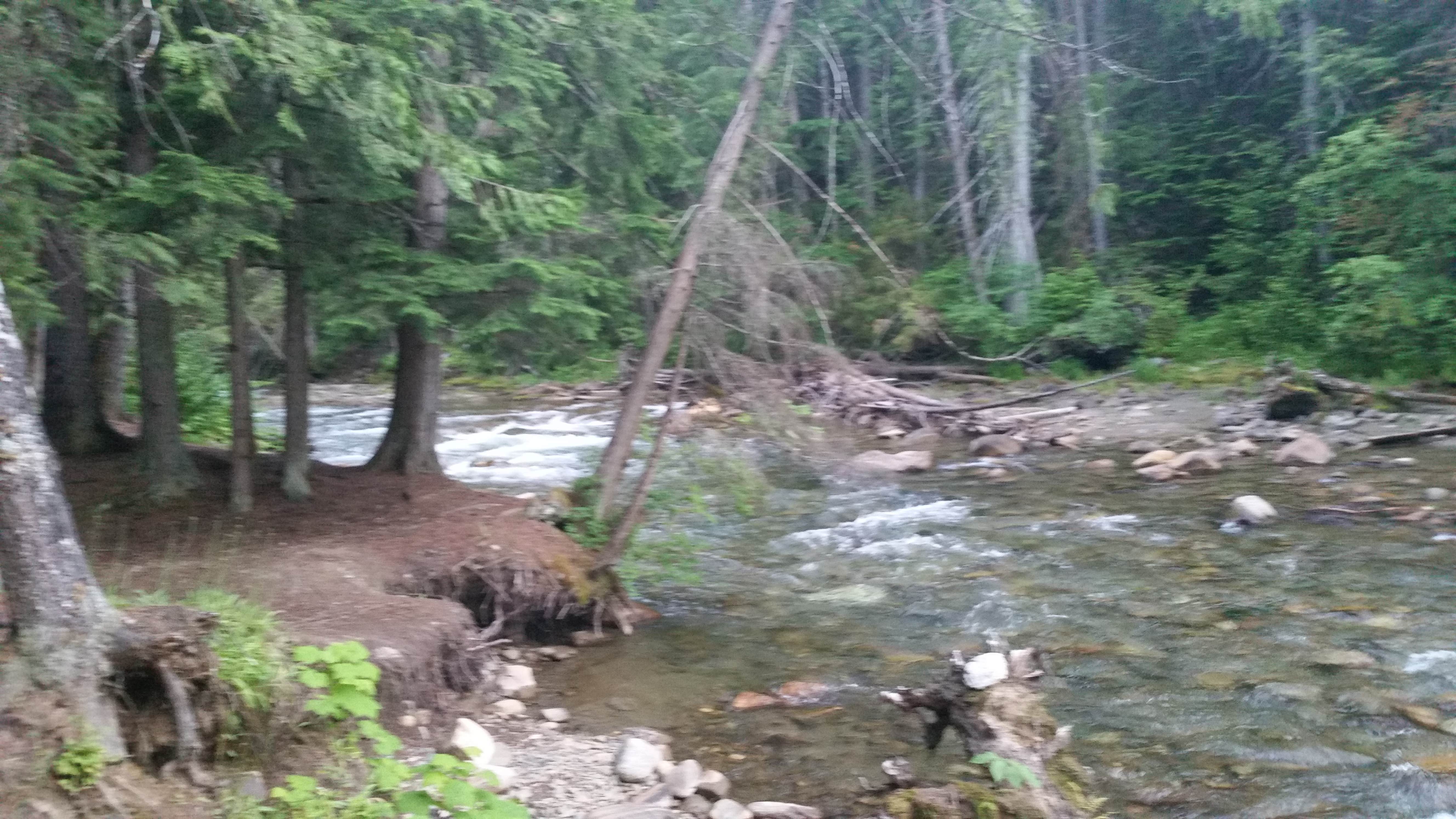 Camper submitted image from Sullivan creek campground#2 - 5
