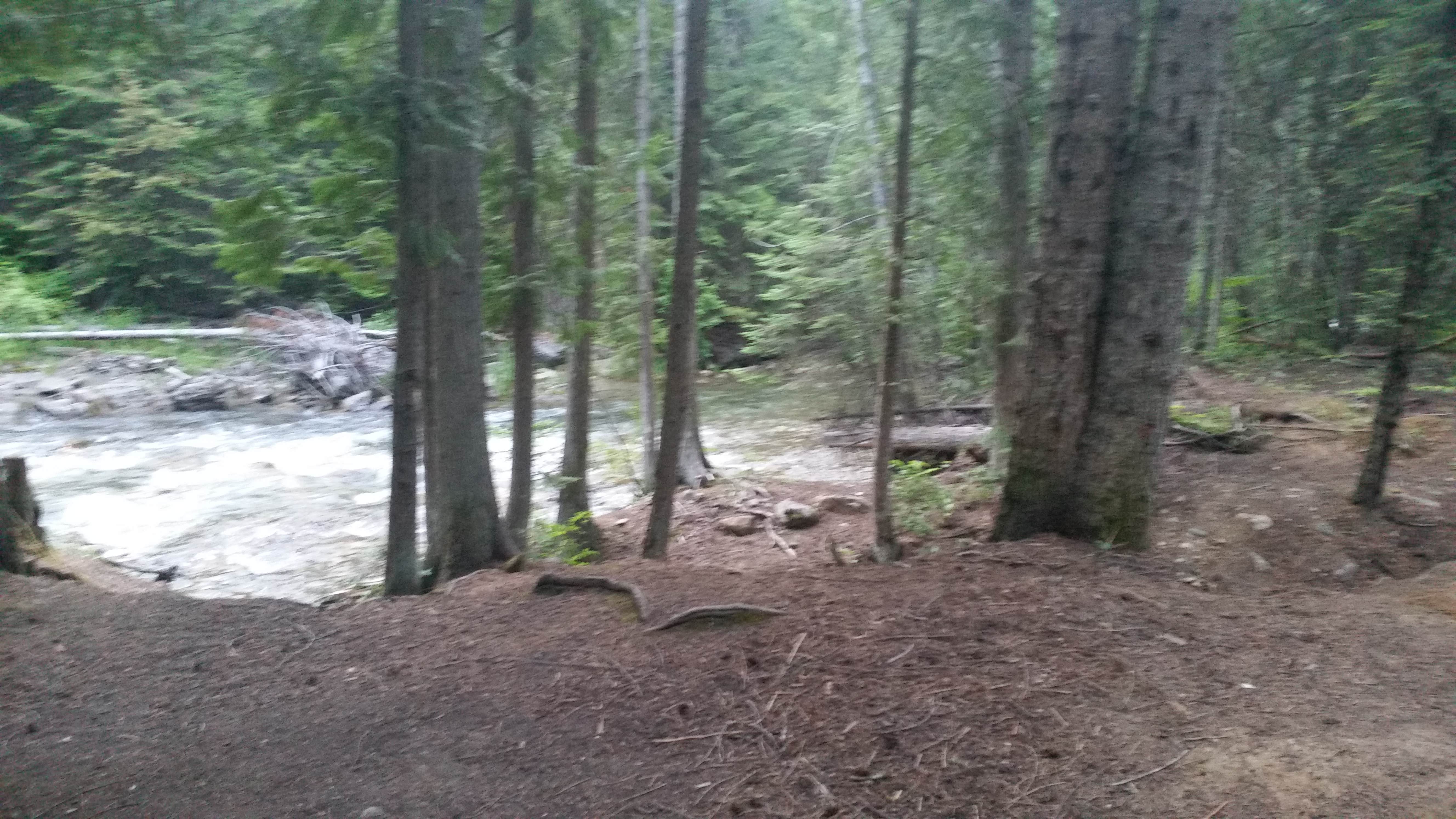 Camper submitted image from Sullivan creek campground#2 - 2