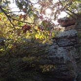 Review photo of Ferne Clyffe State Park Campground by Daniel  B., September 23, 2016