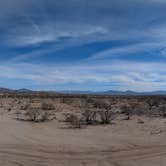 Review photo of Mescal Road Dispersed Site by Ben & Anna S., October 2, 2025