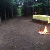 Review photo of Flour Lake Campground - USFS by Diana S., August 3, 2019
