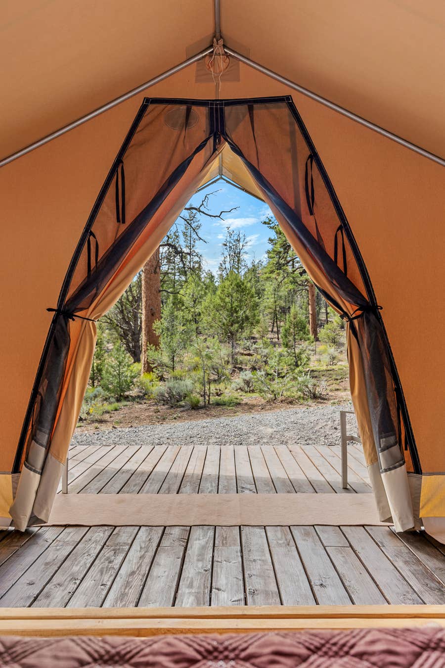 The Dyrt's photo at Highland Grand Canyon near Grand Canyon, AZ