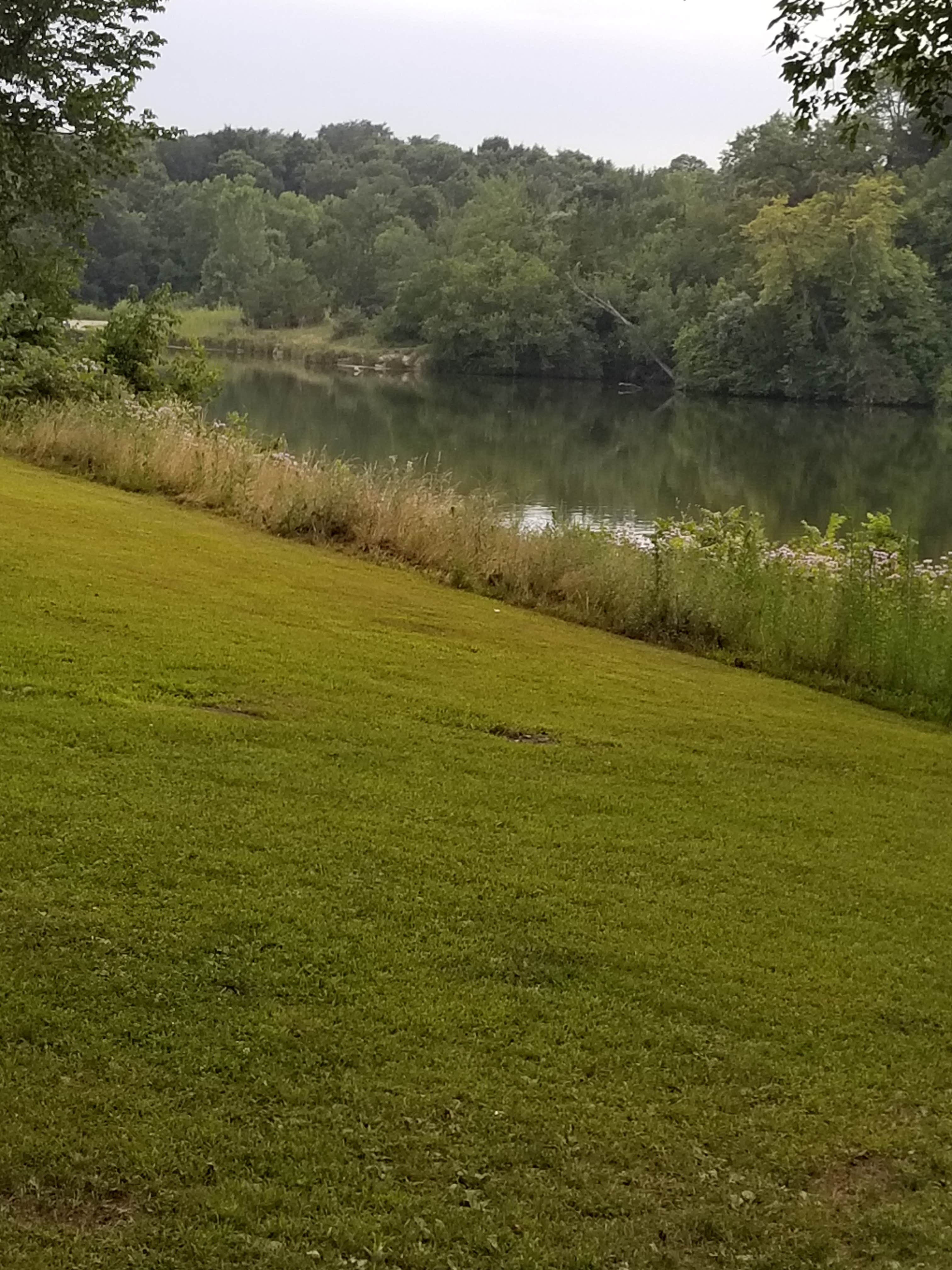 Camper submitted image from Don Williams Park - 2