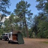 Review photo of Timber Camp Recreation Area and Group Campgrounds by Michael L., August 3, 2019