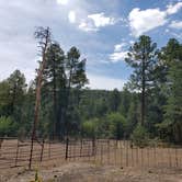 Review photo of Timber Camp Recreation Area and Group Campgrounds by Michael L., August 3, 2019