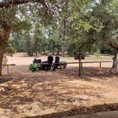 Review photo of Timber Camp Recreation Area and Group Campgrounds by Michael L., August 3, 2019