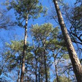 Review photo of Florence Marina State Park Campground by Tony C., August 3, 2019