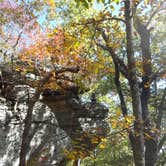 Review photo of Turkey Ridge Campground — Ferne Clyffe State Park by Daniel  B., September 23, 2016