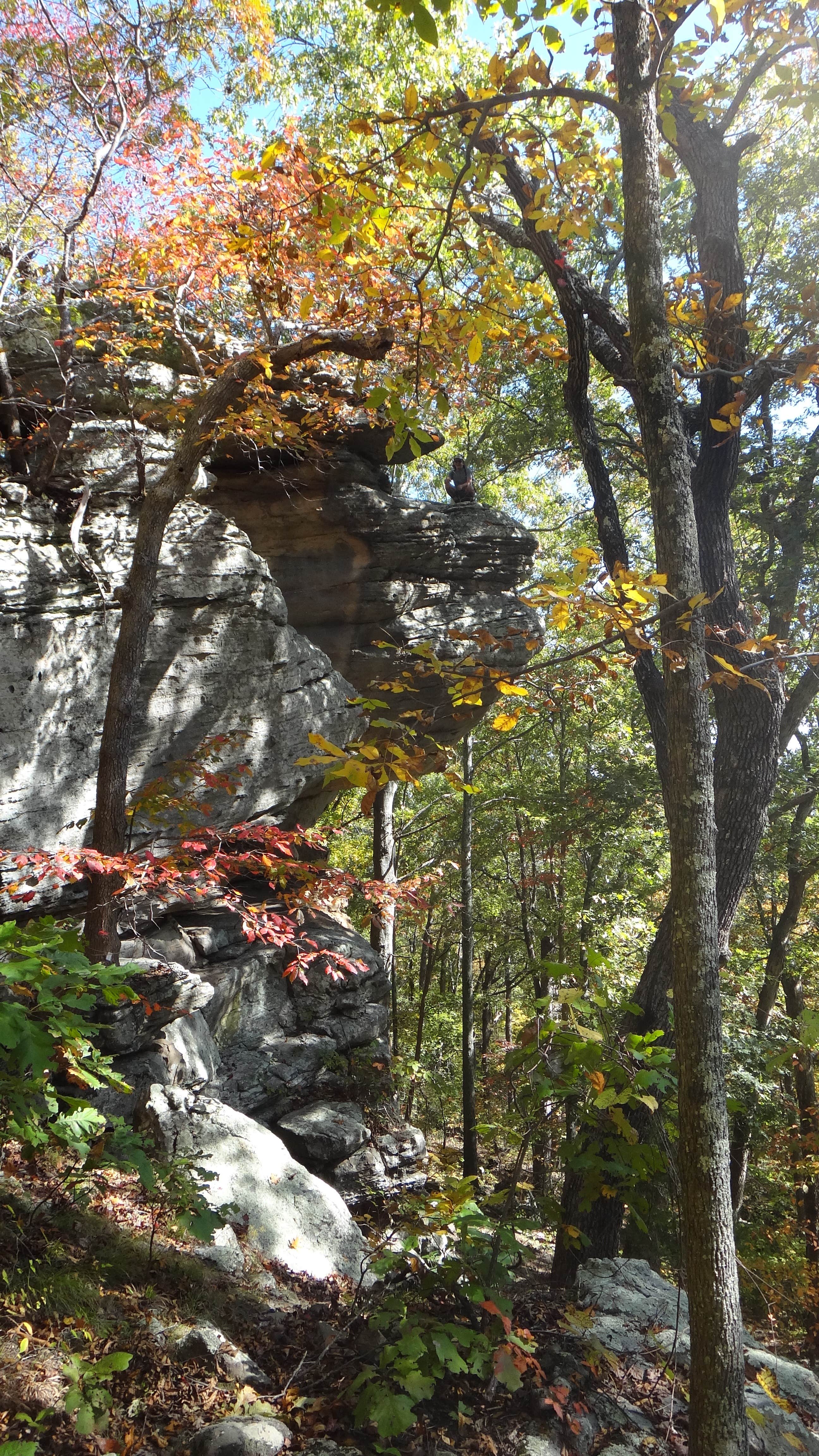 Camper submitted image from Turkey Ridge Campground — Ferne Clyffe State Park - 5