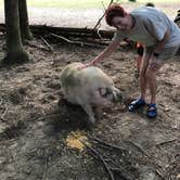 Review photo of Paradise Ranch RV Resort by Nicole R., August 3, 2019