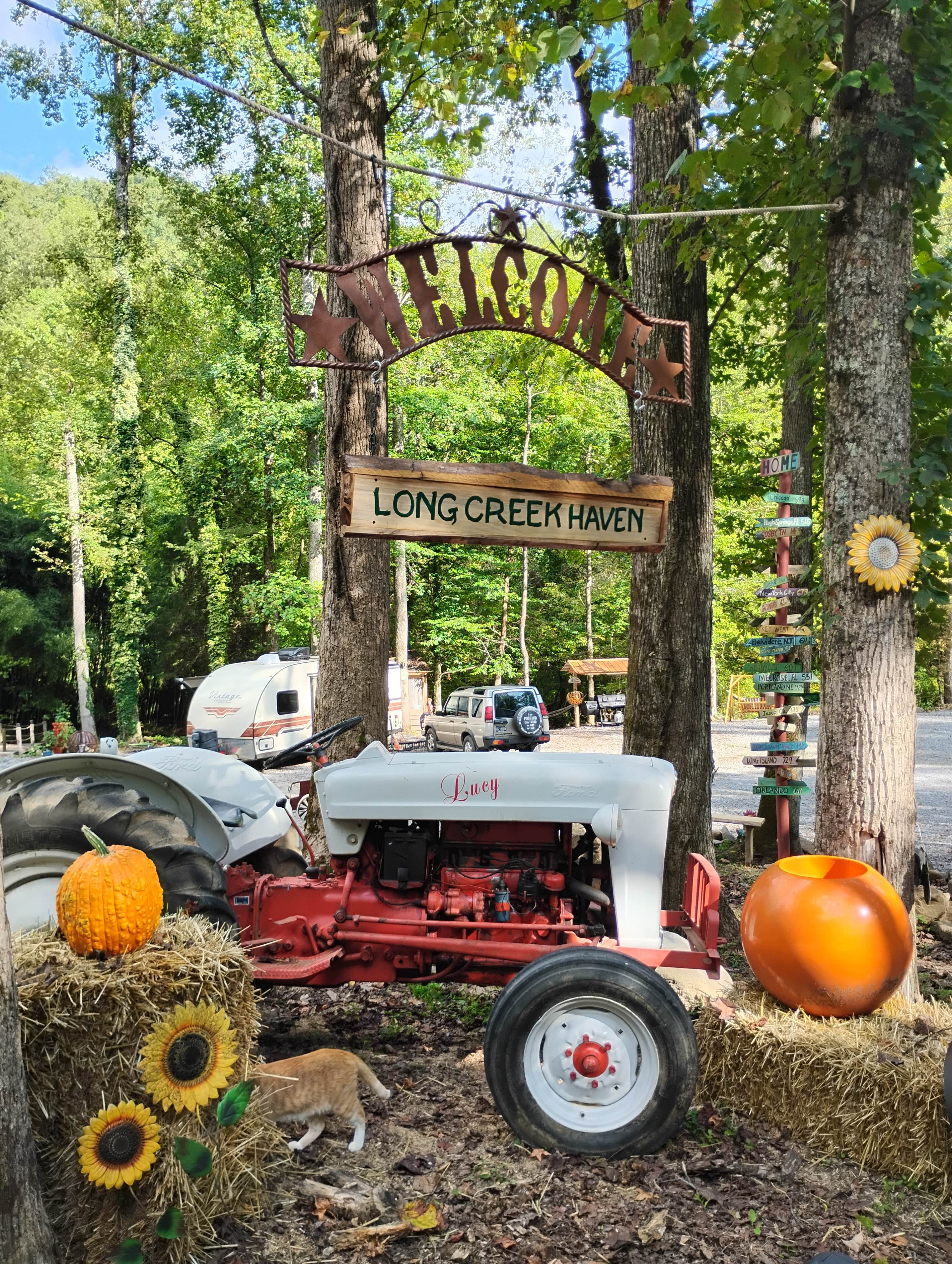 Camper-submitted photo at Long Creek Haven near Del Rio, TN