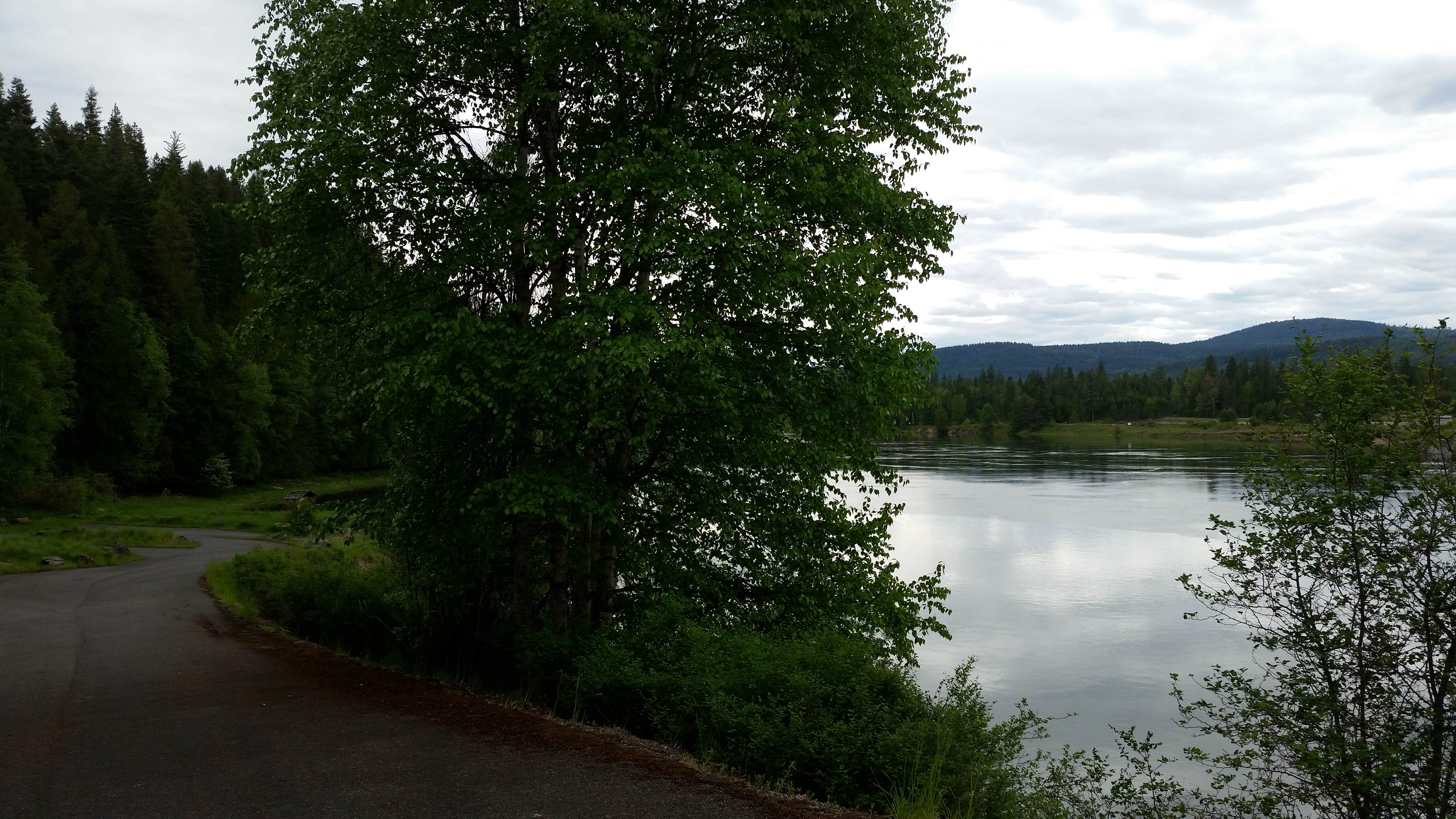 Road to boat launch by the Pend Oreille River