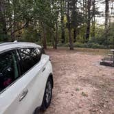 Review photo of White Pines Forest State Park Campground by Heather E., October 5, 2025