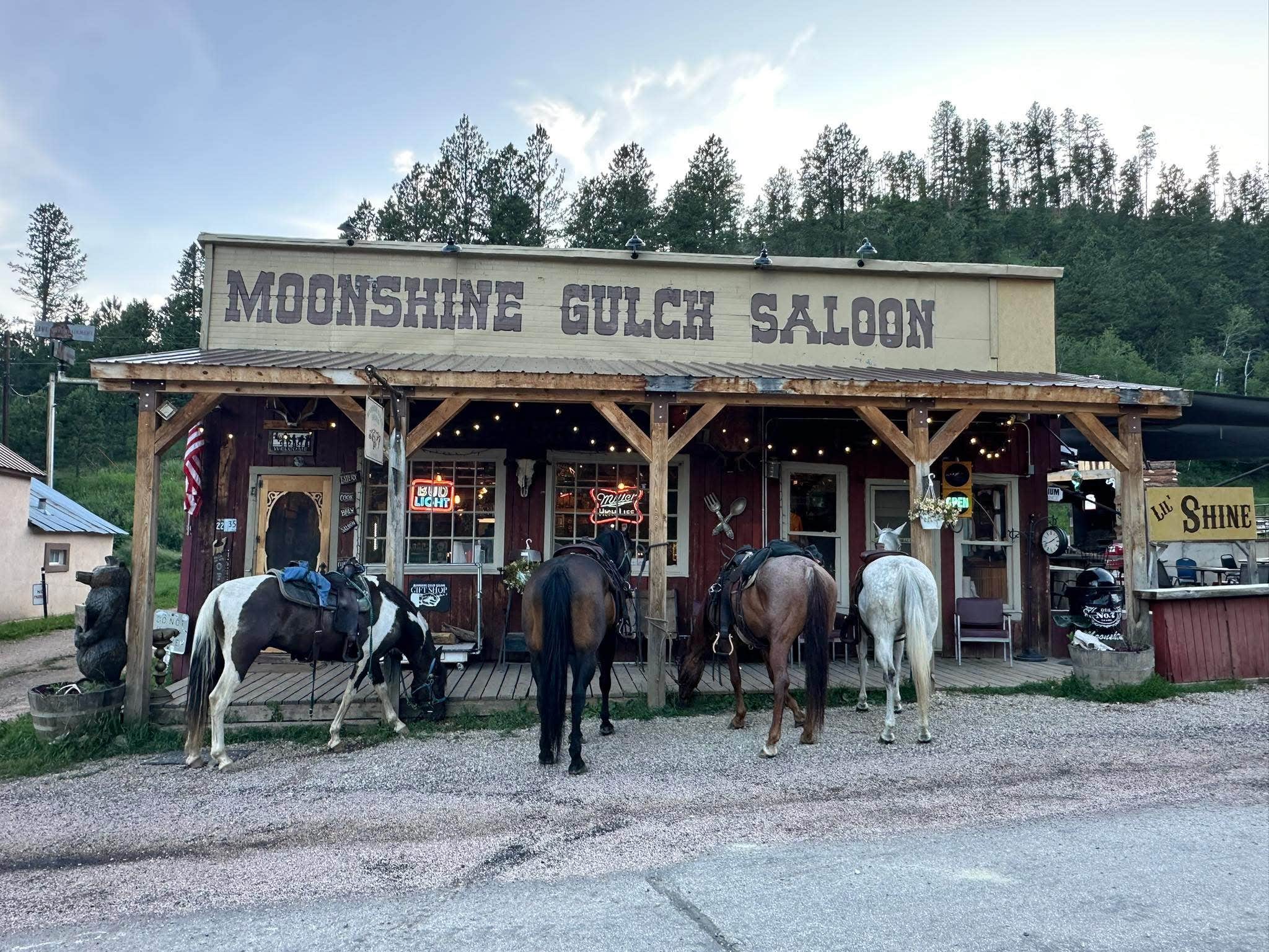 Camping near Black Hills National Forest Dutchman Campground: Castle Creek Horse Cabins, Silver City, South Dakota