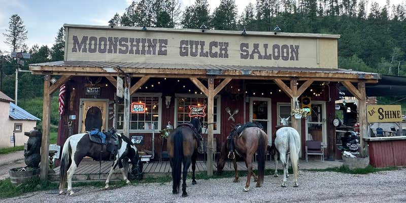 Camper submitted image from Castle Creek Horse Cabins
