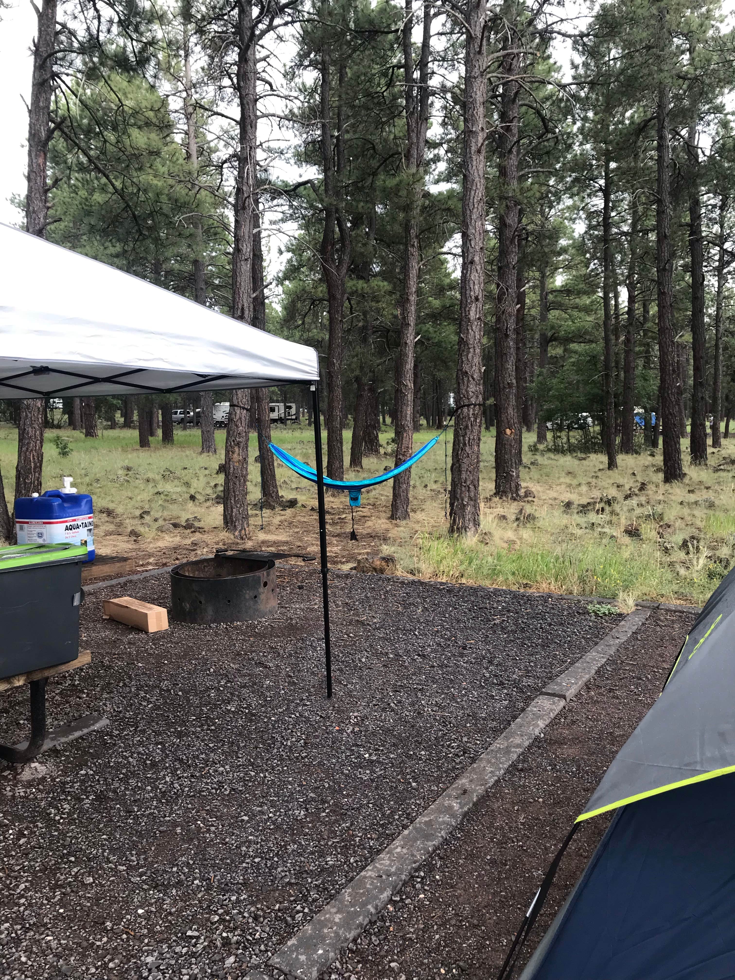 Jordan H.'s photo at Dogtown Lake Campground And Group near Williams, AZ
