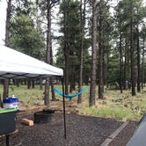 Review photo of Dogtown Lake Campground And Group by Jordan H., August 3, 2019