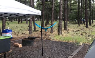 Jordan H.'s photo at Dogtown Lake Campground And Group near Parks, AZ