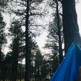 Review photo of Dogtown Lake Campground And Group by Jordan H., August 3, 2019