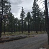 Review photo of Dogtown Lake Campground And Group by Jordan H., August 3, 2019