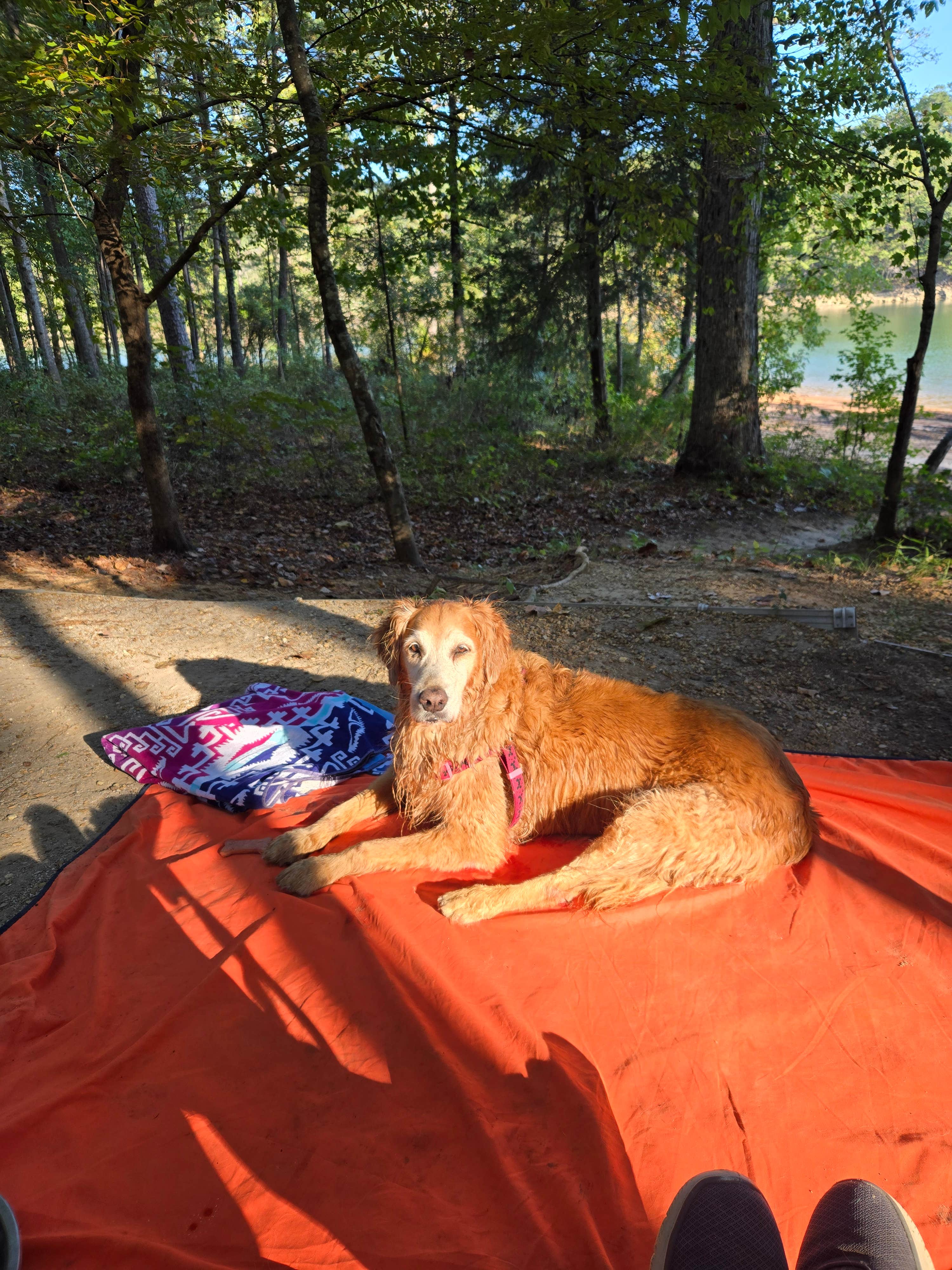 Jeff C.'s photo at Clear Creek Recreation Area near Jasper, AL