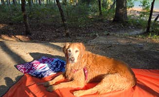 Jeff C.'s photo at Clear Creek Recreation Area near Warrior, AL