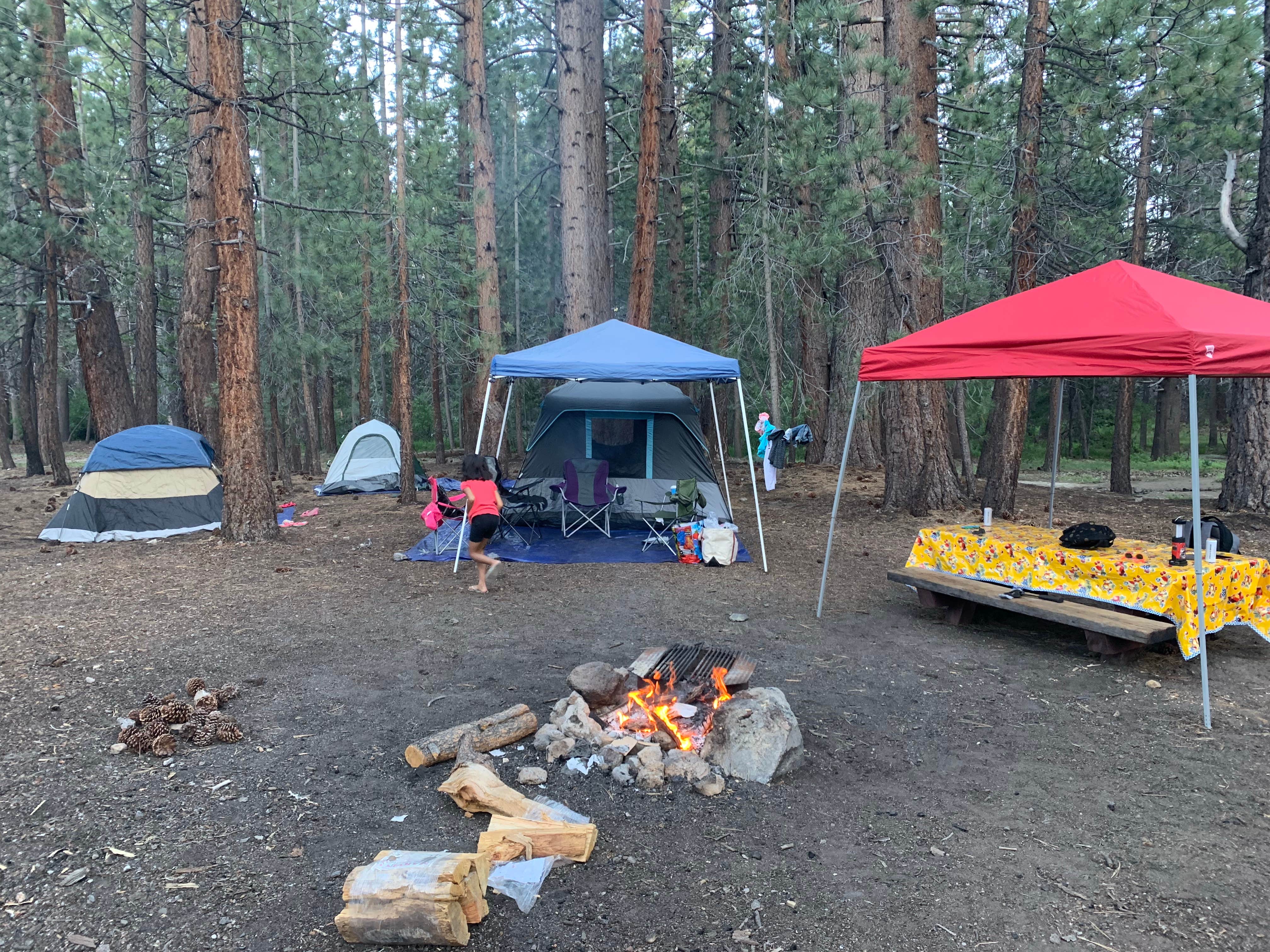 Tamie O.'s photo of tent camping at Upper Deadman Campground near Mono Hot Springs, CA