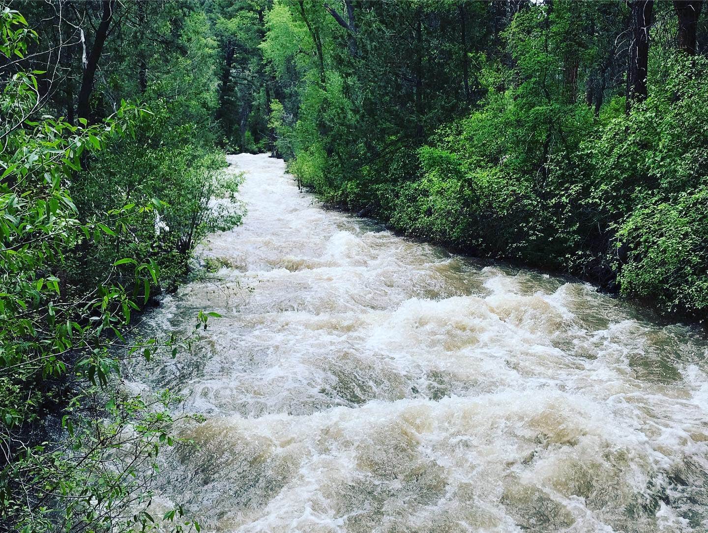 Camper submitted image from Kents Lake Campground - 3