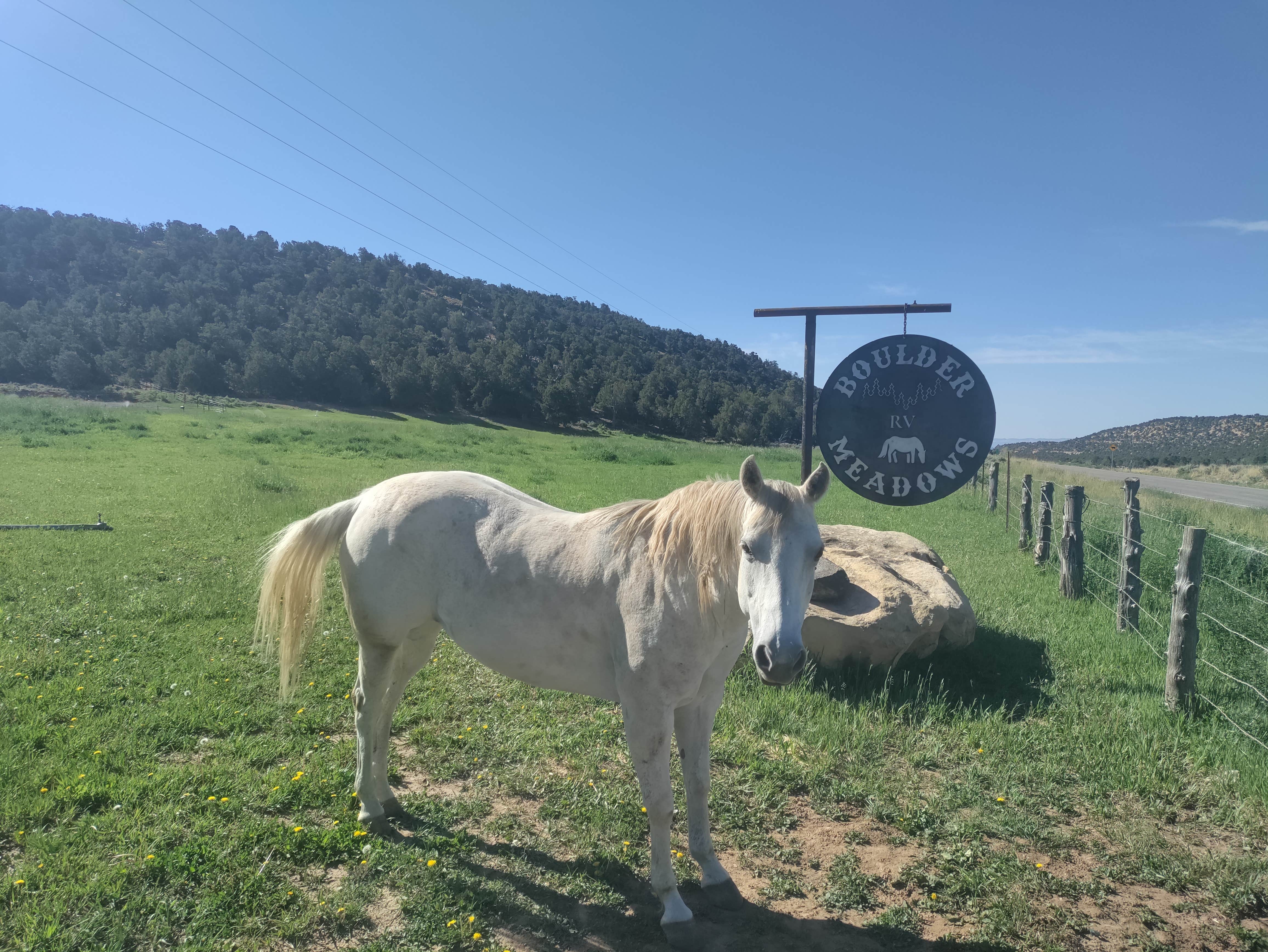 Camping near Oak Creek Reservoir: Boulder Meadows RV and campground, Boulder, Utah