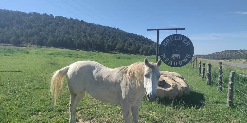 Camper submitted image from Boulder Meadows RV and campground
