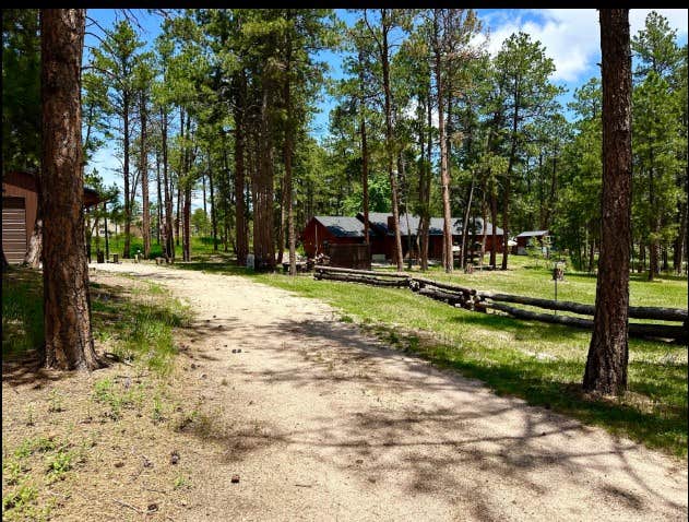 Camper submitted image from 3 Wooded Acres in Black Forest - 2